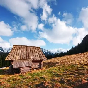 Old wooden hut in spring High Tatras mountains in Kalatowki meadow, Zakopane, Poland. Crocus flowers on a foreground. Landscape photography