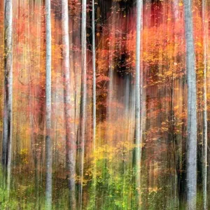 Painterly abstract motion blur of vibrant fall colors in Pisgah National Forest, Brevard, North Carolina, USA Painterly abstract motion blur of vibrant fall colors in Pisgah National Forest, Brevard, North Carolina, USA