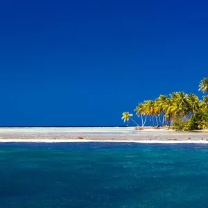 Perfect tropical beach in Maldives with few palm trees and blue lagoon Perfect tropical beach in Maldives with few palm trees and blue lagoon