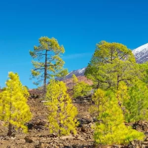 Tenerife - view of Teide Mount, Canary Islands, Spain