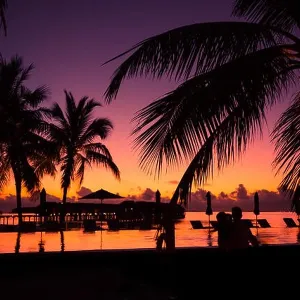 Tropical beach background with palm trees silhouette at sunset. Vintage effect Tropical beach background with palm trees silhouette at sunset. Vintage effect