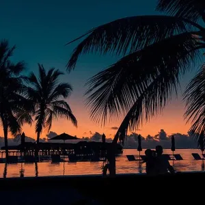 Tropical beach background with palm trees silhouette at sunset. Vintage effect Tropical beach background with palm trees silhouette at sunset. Vintage effect