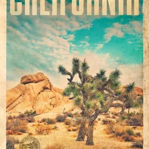 Vintage Travel Poster from Joshua Tree National Park in California United States of America