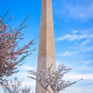 Washington DC, USA in spring season on the National Mall