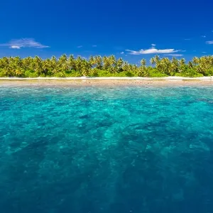 White tropical beach in Maldives with beautiful palm trees and blue lagoon. Background concept White tropical beach in Maldives with beautiful palm trees and blue lagoon. Background concept
