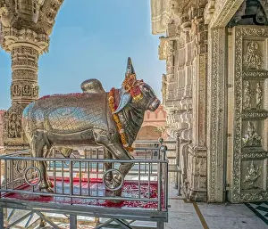 Gujarat Prints: 02 23 2017 Nandi In Front of Mataji at Shri Umiya Mataji Temple Unjha Mehsana District North Gujarat India