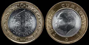 Obverse Prints: 1 Lira coin, Turkey, 2014