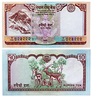 Everest Prints: 10 rupees banknote, Mount Everest and antelopes, Nepal, 2008