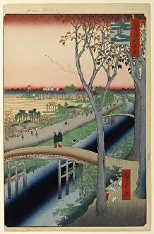 100 views edo 104