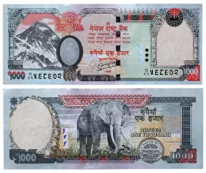 Everest Prints: 1000 rupees banknote, Mount Everest and elephant, Nepal, 2008