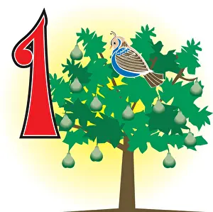 Partridge Prints: 12 Days of Christmas. Can also be used to learn how to count. See all 12 cards