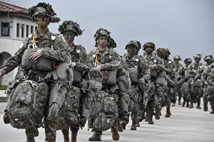 Airborne Prints: 173rd Airborne Brigade is a U.S