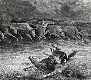 Wild West Prints: This 1887 illustration shows a cowboy fallen to the ground after his horse stumbled and cattle stampeding