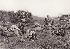 Published Prints: 1890 photogravure of a Ridgway Knight painting with the caption, In October