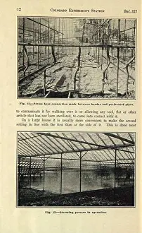 Greenhouses Prints: This 1927 document discusses methods of soil sterilization used for preparing seedbeds and greenhouses