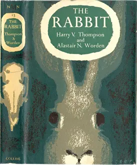 Ephemera Prints: 1946 book cover for The Rabbit
