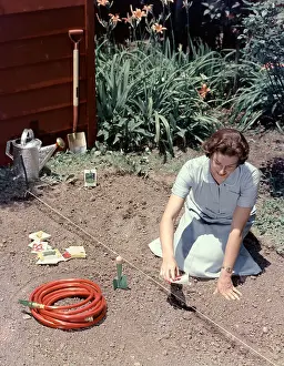Hars Prints: 1950s WOMAN BLUE DRESS KNEELING IN GARDEN PLANTING SEEDS IN SOIL STRING SHOVEL HOSE TROWEL WATERING CAN VEGETABLE