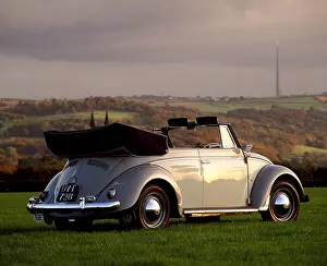 Cabrio Prints: 1954 Volkswagen Beetle Cabriolet in countryside