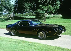 Coupe Prints: 1979 Pontiac Firebird Trans Am