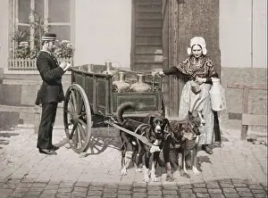 19th century vintage photograph: milk maid and dog milk cart Belgium