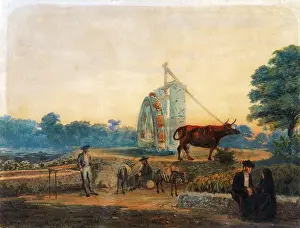 Farm Animals Prints: This 19th-century watercolor by Prilidiano Pueyrredón