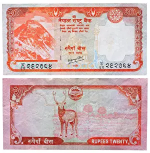 Everest Prints: 20 rupees banknote, Mount Everest and deer, Nepal, 2008