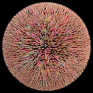1000 Prints: 2000 colored pencils arranged in sphere. Clipping path included
