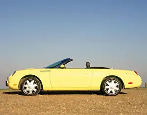 Convertible Prints: 2003 Ford Thunderbird convertible