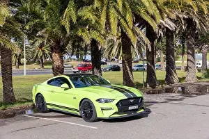 Coupe Prints: 2020 model Ford Mustang car in lime green with black bonnet stripes