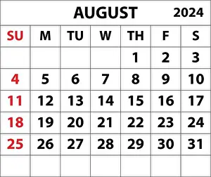 Meeting Prints: 2024 August month calendar Color vector calendar design