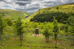 Space For Copy Prints: 27.05.2022 Muker, Swaledale, North Yorkshire