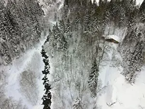Titlis Prints: 2s0ry66