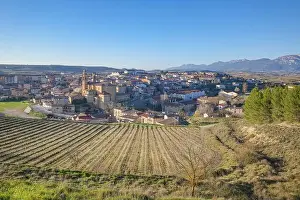 Wine Region Prints: 2s0y68r