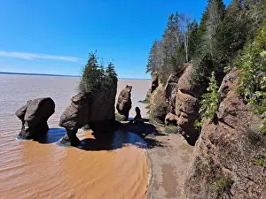 Fundy Prints: 2s18tth