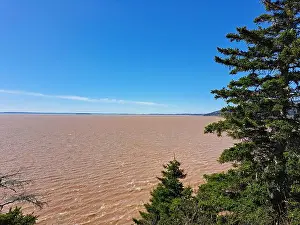 Fundy Prints: 2s18tty