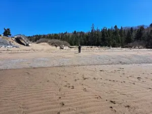 Fundy Prints: 2s1amam