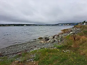Shorelines Prints: 2s1b3ty