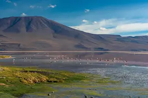 Uyuni Prints: 2s1ye8y