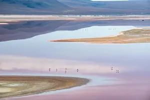 Altiplano Prints: 2s1yeap