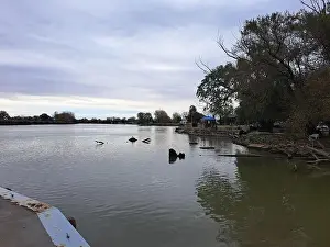 Lakeshore Prints: 2s1yh3b