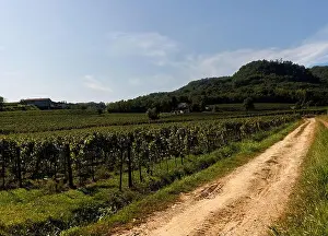 Friuli Venezia Giulia Prints: 2s255p2