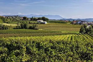 Friuli Venezia Giulia Prints: 2s25643