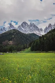 Mountain Top Prints: 2s2f5tn