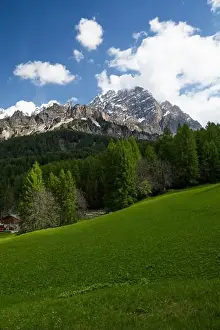 Mountain Top Prints: 2s2f5x2
