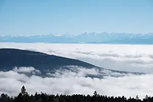 Neuchatel Prints: 2s2g66w