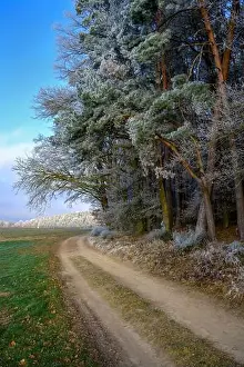 Country Road Prints: 2s2hyf5