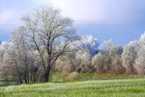 Hoarfrost Prints: 2s2hyf6