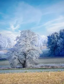 Hoarfrost Prints: 2s2hyf7