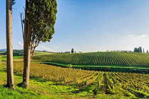Rolling Hills Prints: 2s345pc