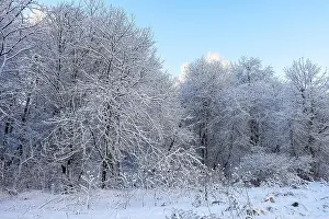 Hoarfrost Prints: 2s3dn93